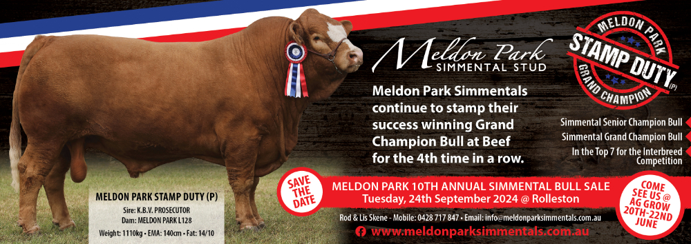 Meldon Park Simmentals 